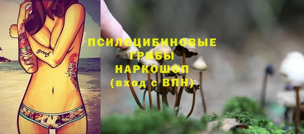 PSILOCYBIN Балахна