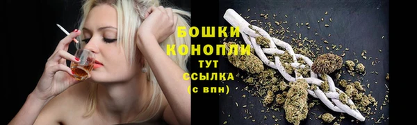 мяу мяу мука Баксан