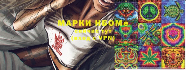 прущие грибы Балабаново