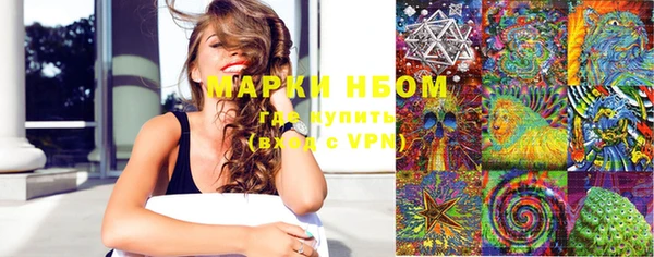 мяу мяу мука Баксан