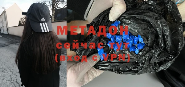 прущие грибы Балабаново