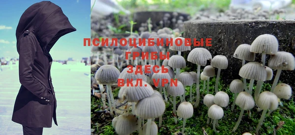 PSILOCYBIN Балахна