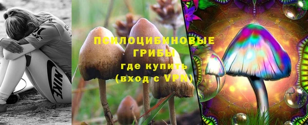 прущие грибы Балабаново