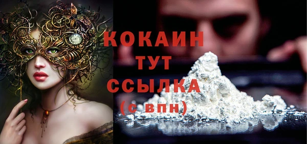 прущие грибы Балабаново
