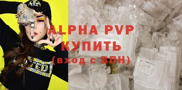 прущие грибы Балабаново