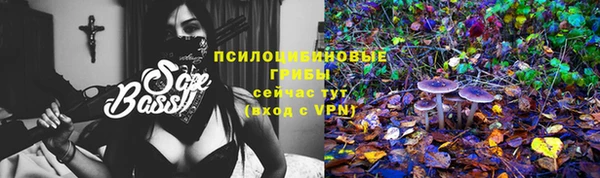 PSILOCYBIN Балахна