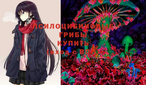 мяу мяу мука Баксан