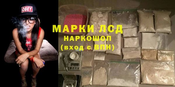 мяу мяу мука Баксан